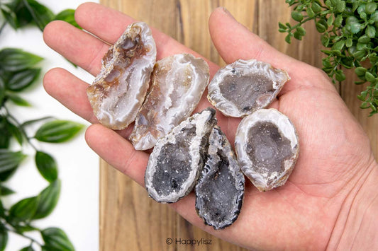 Agate Geodines - M - In Hand