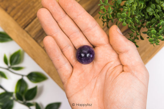 Hand holding a purple crystal ball with green plants in the background
