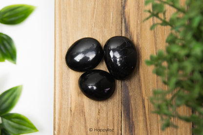 Black Tourmaline - Tumbled Stone - M