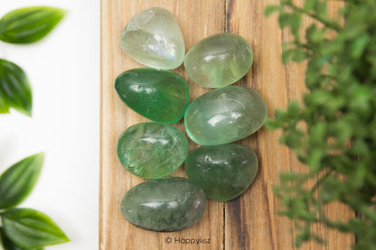 Green Fluorite - Tumbled Stone