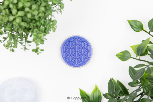 Orgonite Disc - Flower of Life - Hawk's Eye - Top