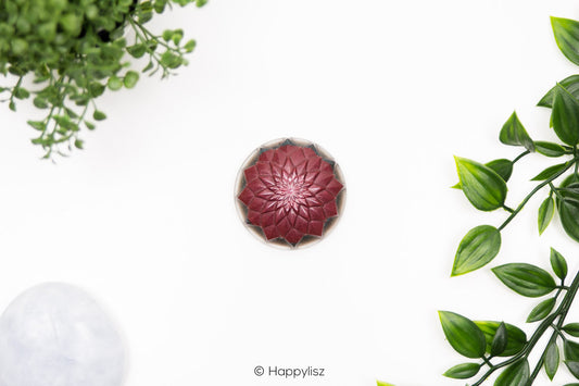 Orgonite Disc - Lotus - Selenite - Top