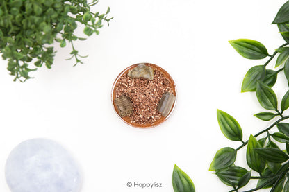 Orgonite Disc - Seed of Life - Petrified Wood - Bottom