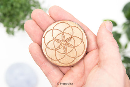 Orgonite Disc - Seed of Life - Petrified Wood - In Hand