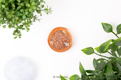 Orgonite Disc - Tree of Life - Moonstone - Bottom