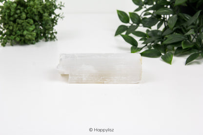 Selenite - Raw Chunk - No. 2 - 03