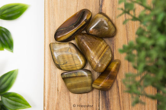 Tiger's Eye - Tumbled Stone - M